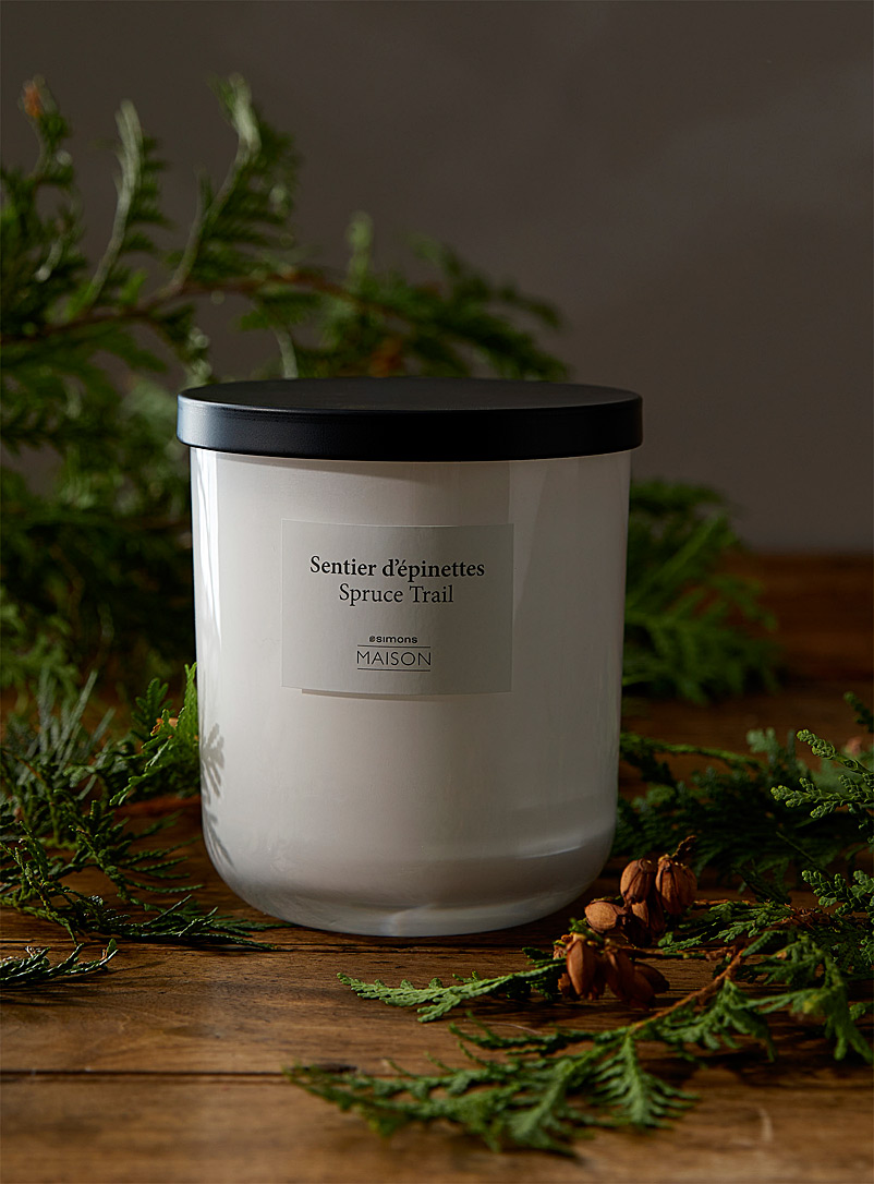 Simons Maison Assorted Spruce trail candle