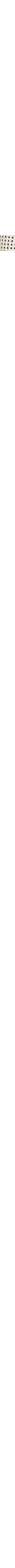 Patterned Ecru