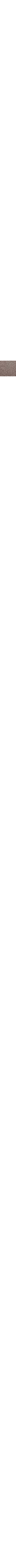 Kaki