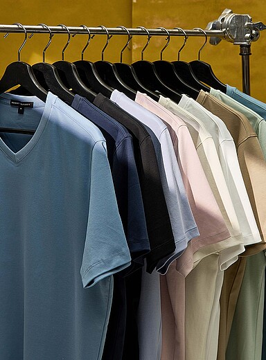 Le t-shirt col V coton pima luxueux