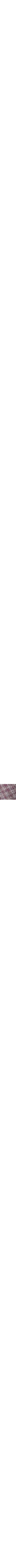 Pourpre