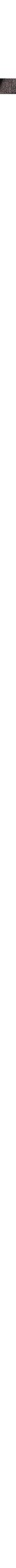 Slate Grey
