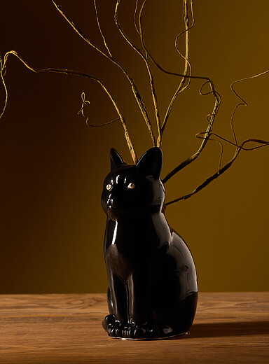Black cat vase
