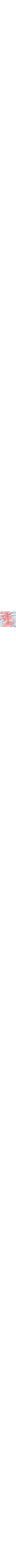 Vert à motifs