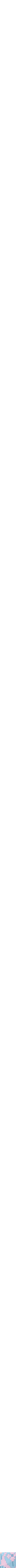 Assorti