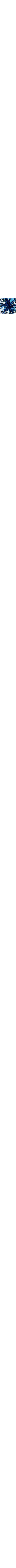 Blanc à motifs