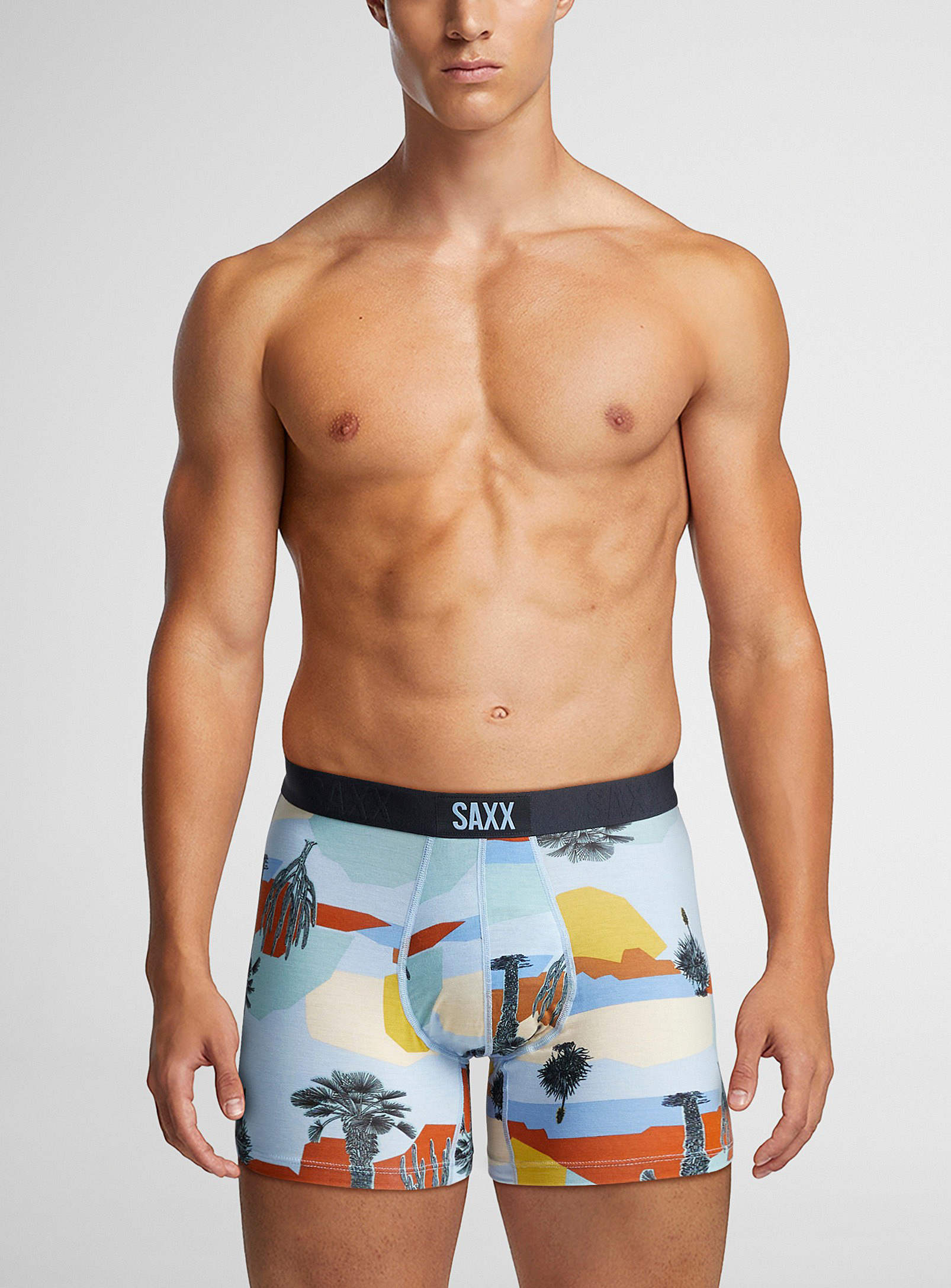 Saxx Baja Bound Boxer Brief Vibe In Patterned Blue