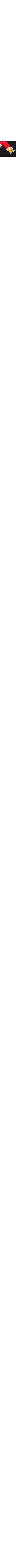 Noir à motifs