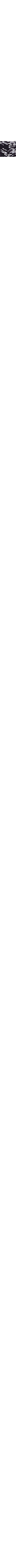 Noir à motifs