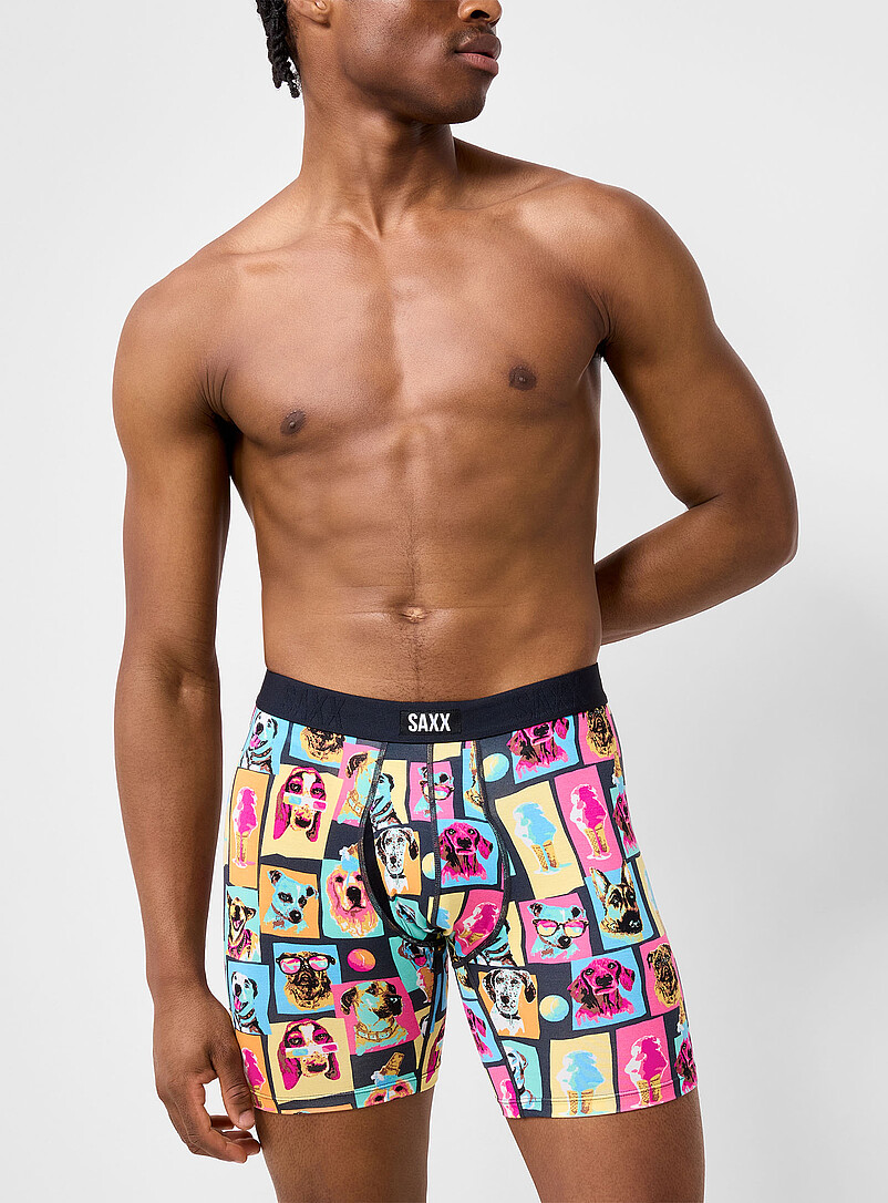 6" colourful dog boxer brief VIBE XTRA product image (primary)