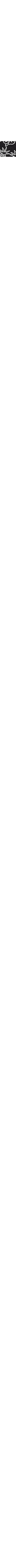 Noir à motifs