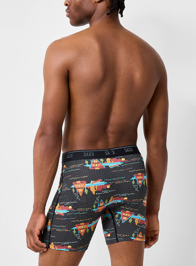 6" At the cottage micro-dotwork boxer brief QUEST product image 2