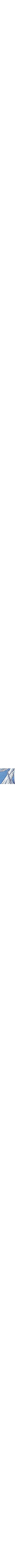 Bleu à motifs