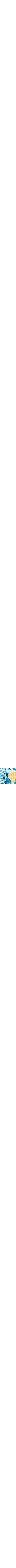 Patterned Blue