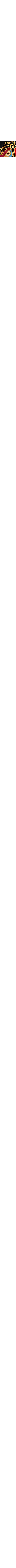 Noir à motifs