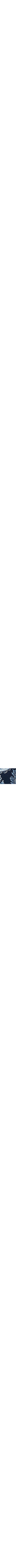 Bleu à motifs