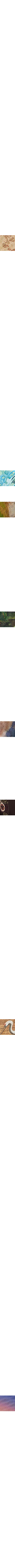 Vert à motifs