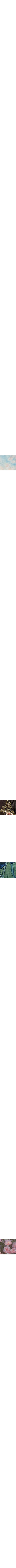 Vert à motifs