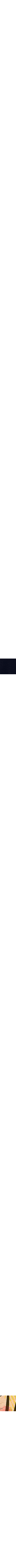 Orange à motifs