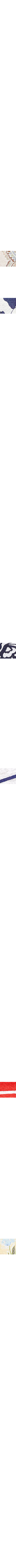 Bleu à motifs
