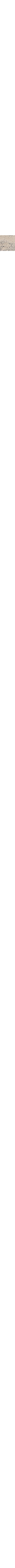Écru à motifs