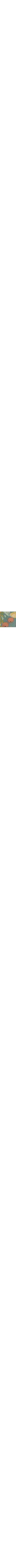 Vert à motifs