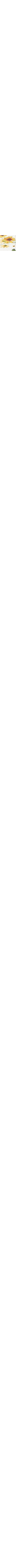 Patterned Ecru