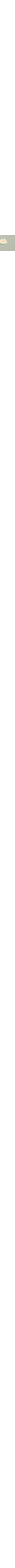 Écru à motifs