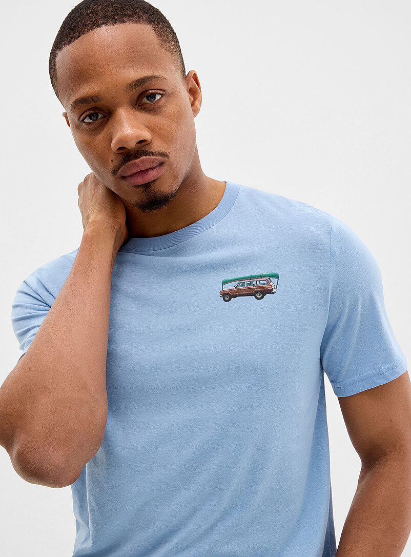 Tentree Baby Blue Lake Tentree T-shirt for men