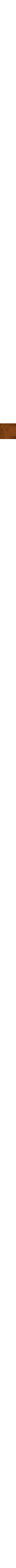 Bronze/Amber