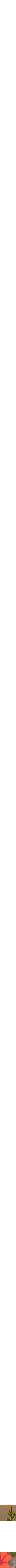 Assorti