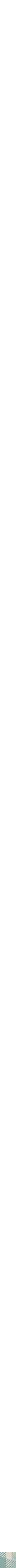 Vert à motifs