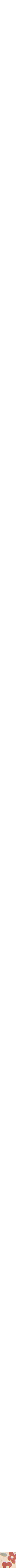 Rouge à motifs
