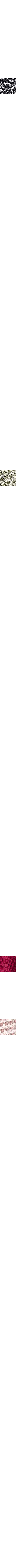 Slate Grey