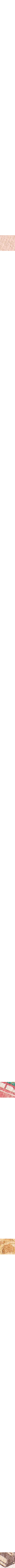 Patterned Cream