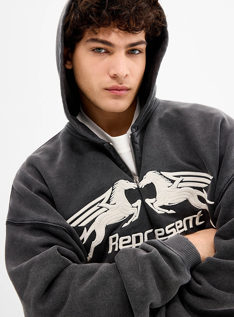 Pegasus zipped hoodie product image 2
