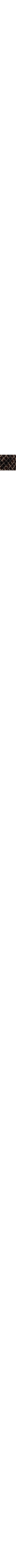 Brun à motifs