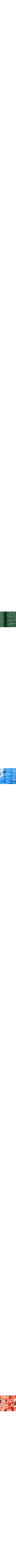 Bleu à motifs