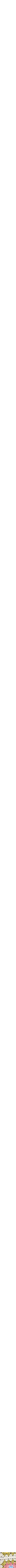 Assorti