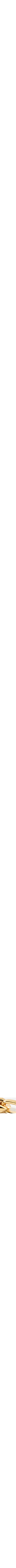 Jaune doré