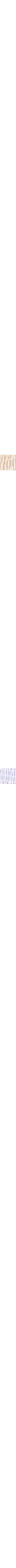 Brun à motifs