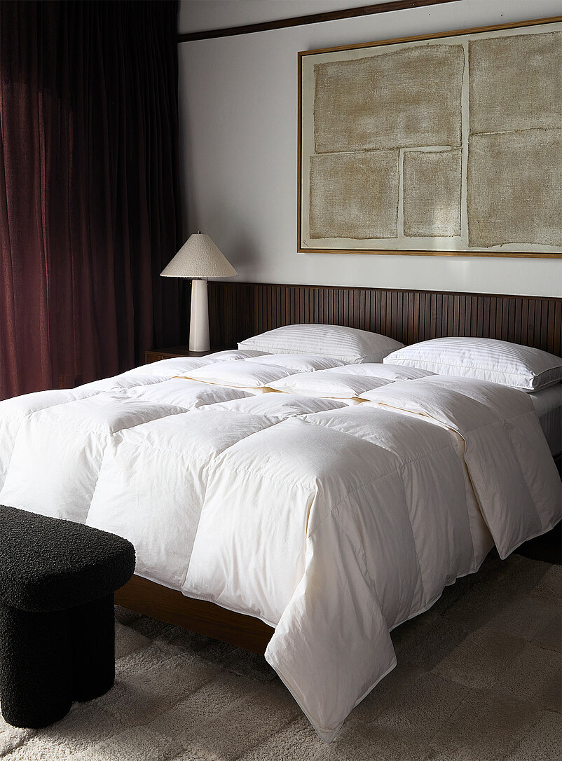 APSMILE | Couette en Duvet d'oie Et Plumes | Chaude 4 Saisons Couette | Édredon Lit 1 Personnes 135 x 200 cm | 100% Coton Couettes avec 8 Onglets d'angle | Blanc 135 x 200 cm APSMILE | Couette en Duvet d'oie Et Plumes | Chaude 4 Saisons Couette | Édredon Lit 1 Personnes 135 x 200 cm | 100% Coton Couettes avec 8 Onglets d'angle | Blanc 135 x 200 cm
