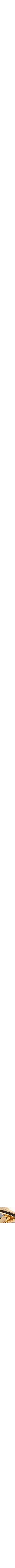 Assorti