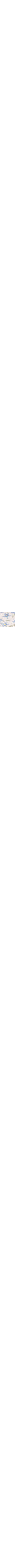 Bleu à motifs
