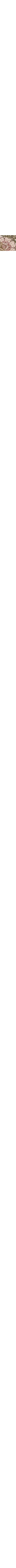 Écru à motifs