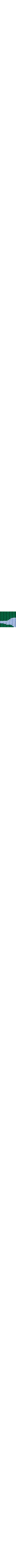 Vert à motifs