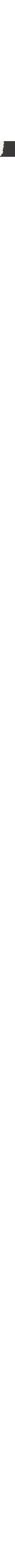 Noir à motifs