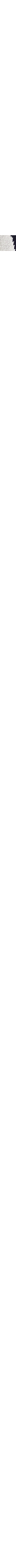 Écru à motifs