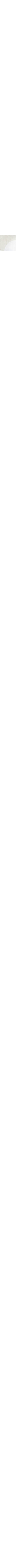 Écru à motifs
