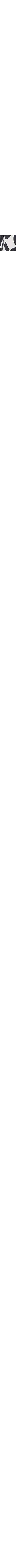 Écru à motifs